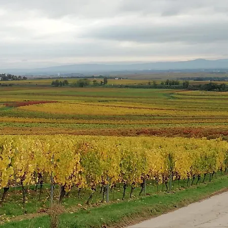 Im Wonnegau Portugieser-suite *