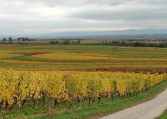 Im Wonnegau Portugieser-suite *